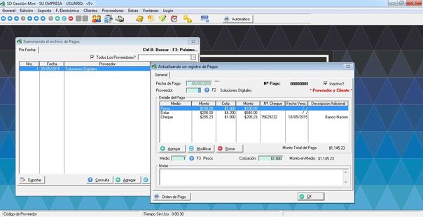 SD Gestion Mini - Ficha de Pagos